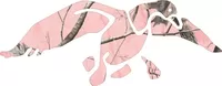 Pink Camo Duck Hunting Decal / Sticker