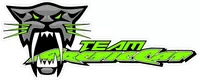 Team Arctic Cat Decal / Sticker 30