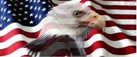 American Flag Bald Eagle Decal / Sticker 42