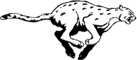 Jaguars Mascot Decal / Sticker