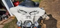 Flying Eagle Decal / Sticker 14