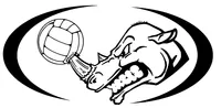 Rhinos Volleyball Mascot Decal / Sticker