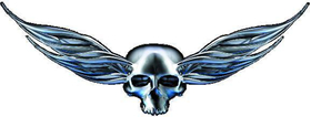 Winged Skull Decal / Sticker