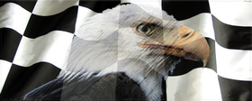 Checkered Flag Eagle Decal / Sticker 106