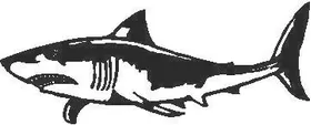 Shark Decal / Sticker 01