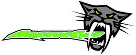 Arctic Cat Decal / Sticker 11