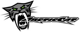 Arctic Cat Decal / Sticker 17