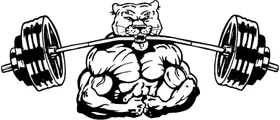 Weightlifting Cougars / Panthers Mascot Decal / Sticker