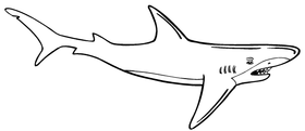 Sharks Mascot Decal / Sticker