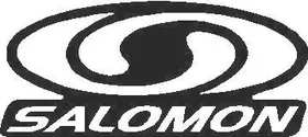 Salomon Decal / Sticker 01