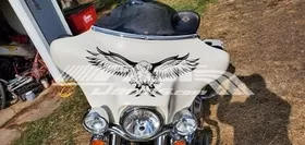 Flying Eagle Decal / Sticker 14
