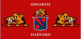 Top Gun Harvard Helmet Decal / Sticker Set 01