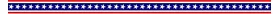 Evel Knievel Vertical Stripe Decal / Sticker 08