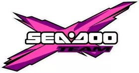 Pink Team Sea-Doo Decal / Sticker 10