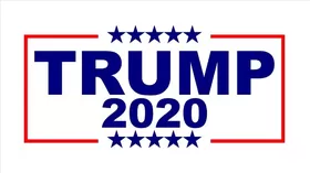 TRUMP 2020 Flag Decal / Sticker 15