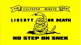 Clupeper Flag No Step On Snek Decal / Sticker 01