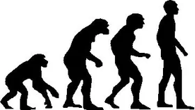 Human Evolution Decal / Sticker