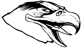 Hawks / Falcons Head Mascot Decal / Sticker