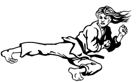 Karate Girl Decal / Sticker