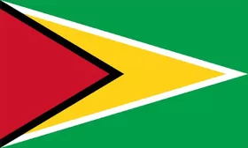 Guyana Flag Decal / Sticker 01