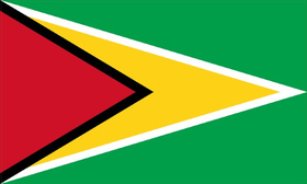 Guyana Flag Decal / Sticker 01