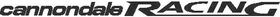 Cannondale Racing Decal / Sticker 02