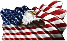 American Flag Eagle Waving Decal / Sticker 13