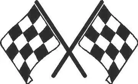 Checkered Flag Decal / Sticker 65