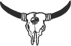 Bull Skull 05 Decal / Sticker