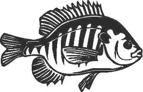 Fish Decal / Sticker 04