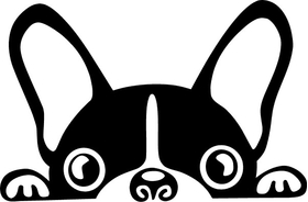 French Bulldog Decal / Sticker 01