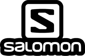 Salomon Decal / Sticker 07