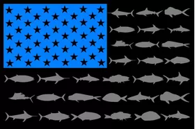 American Flag Fish Decal / Sticker 112 Black, Sky Blue and Gray