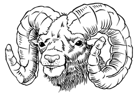 Rams Mascot Decal / Sticker 3