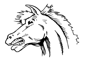 Horse Mascot Head Decal / Sticker 4