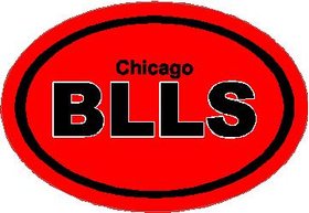 Chicago Bulls Oval Decal / Sticker