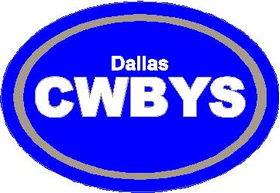 Dallas Cowboys Oval Decal / Sticker