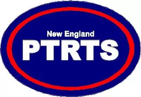 New England Patriots Oval Decal / Sticker