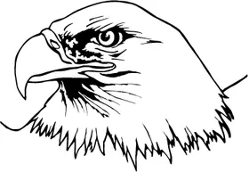 Eagles Head Mascot Decal / Sticker