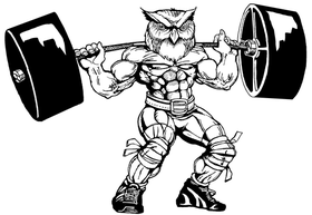 Weightlifting Owls Mascot Decal / Sticker 4