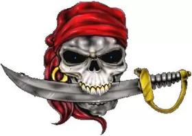 Pirate Skull with Sword Decal / Sticker