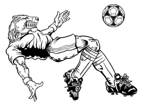 Soccer Bears Mascot Decal / Sticker