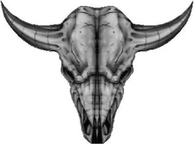 Longhorn Skull Decal / Sticker 01