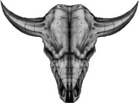 Longhorn Skull Decal / Sticker 01