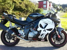 Motorcycle Punisher Decal