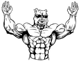 Weightlifting Bulldog Mascot Decal / Sticker 1