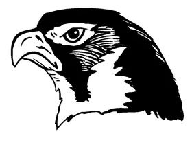 Hawks / Falcons Mascot Decal / Sticker 2