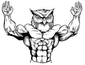 Weightlifting Owls Mascot Decal / Sticker 1