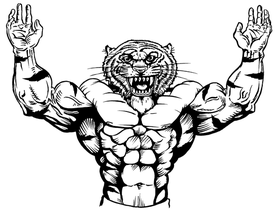 Weightlifting Tigers Mascot Decal / Sticker 1