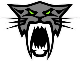 Arctic Cat Head decal / sticker